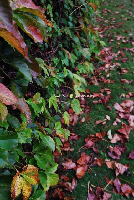 1652579210 1652579210