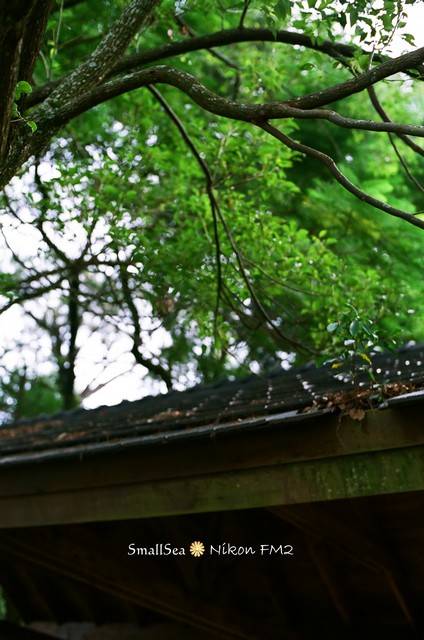 1652579219 1652579219