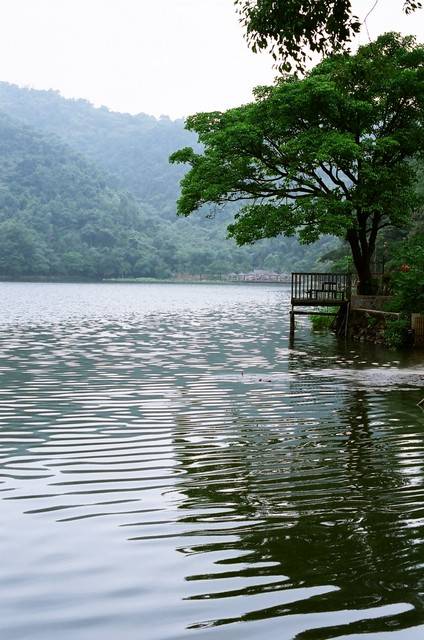 1652579228 1652579228