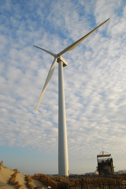 1758208637 1758208637