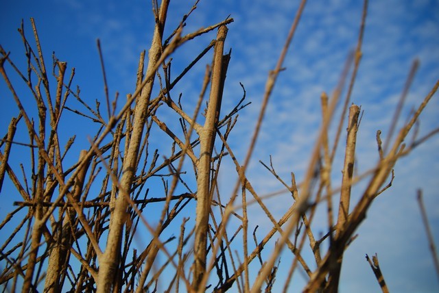 1758208639 1758208639