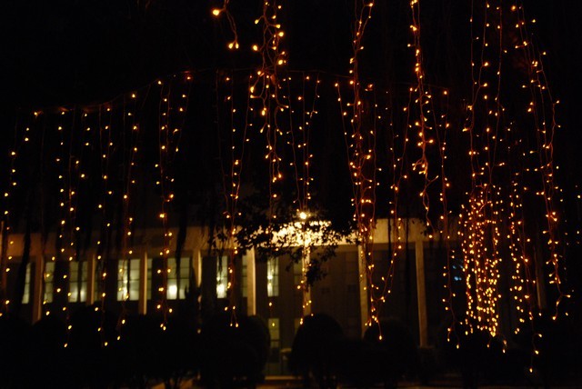 1180326362 1180326362