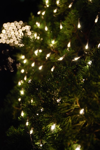 1180326363 1180326363