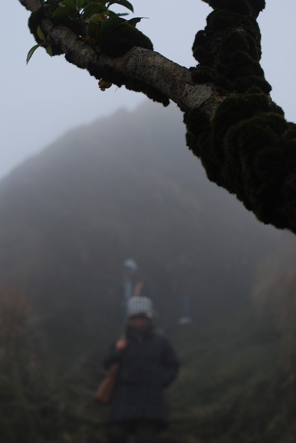 1631021435 1631021435