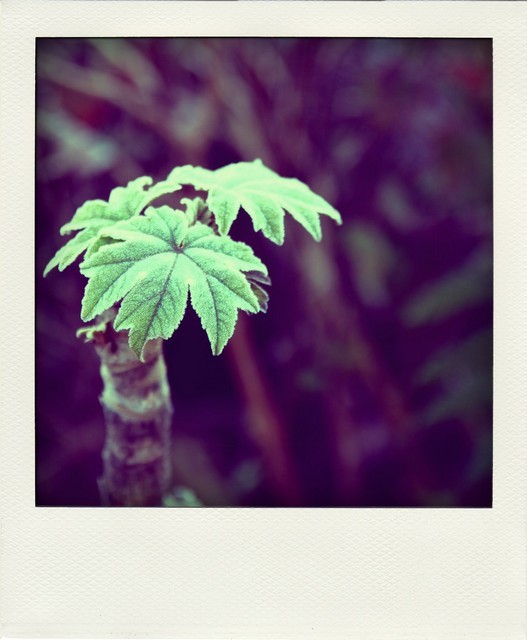 1675593458 1675593458