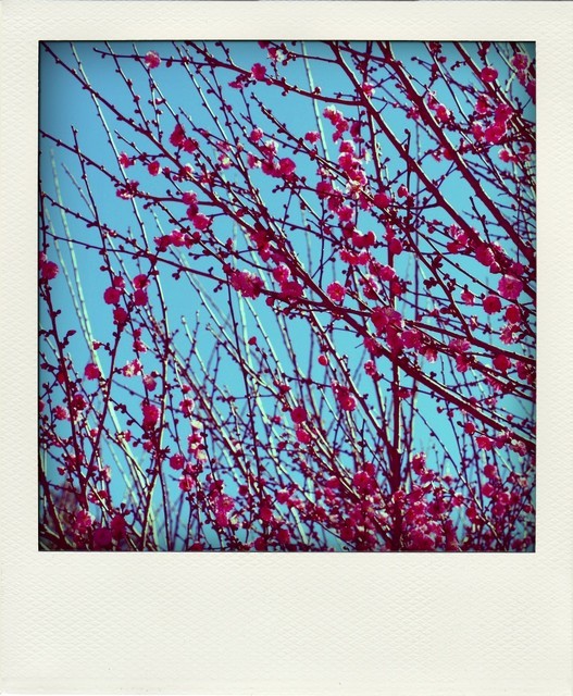 1675593462 1675593462