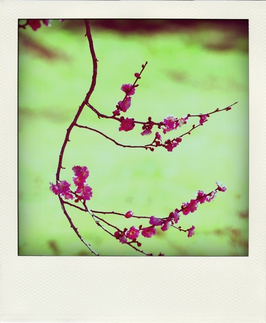 1675593463 1675593463