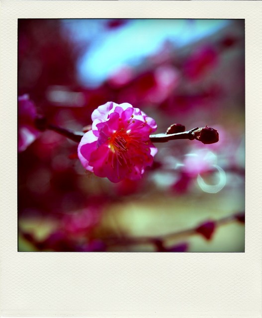 1675593464 1675593464