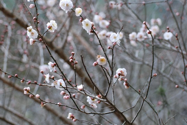 1760286927 1760286927