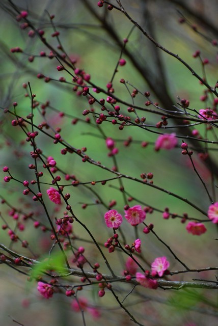 1760286928 1760286928