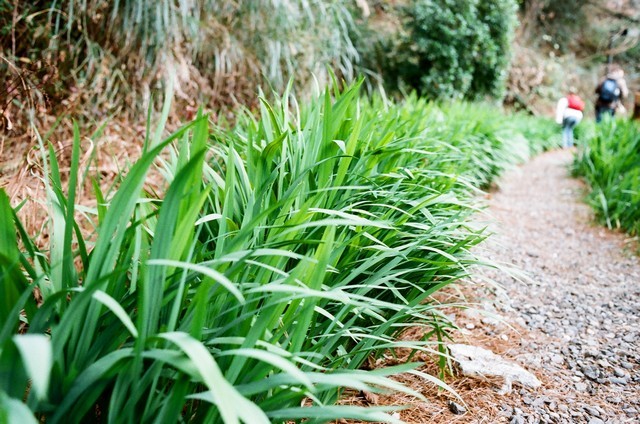 1760286940 1760286940