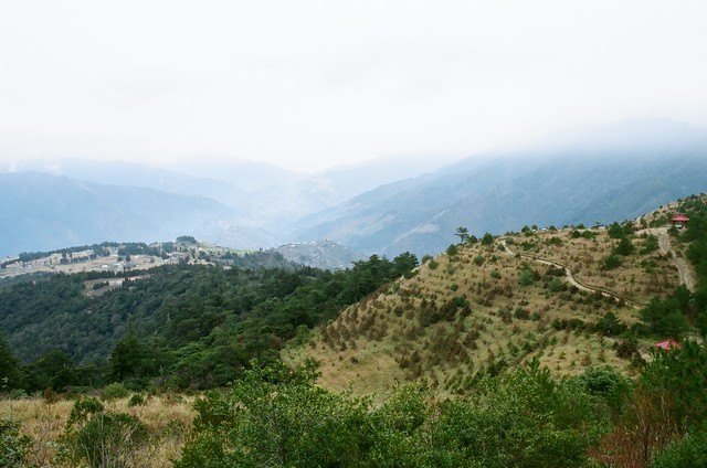 1760286942 1760286942