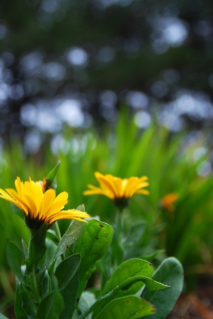 1760286946 1760286946