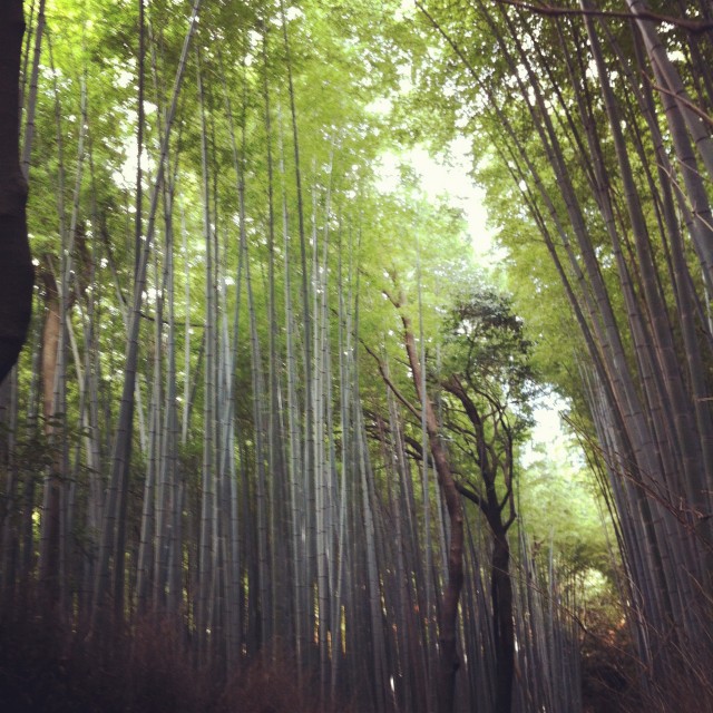 Photo 12-11-21 10 24 30