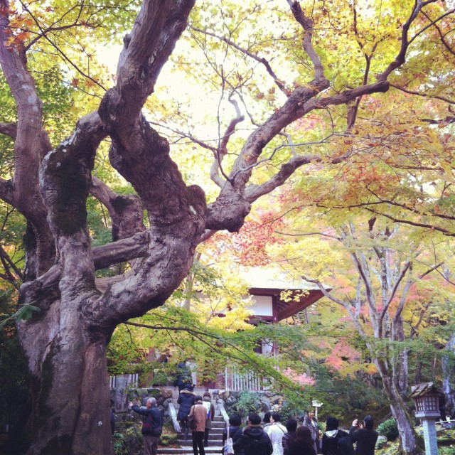 Photo 12-11-21 10 48 41